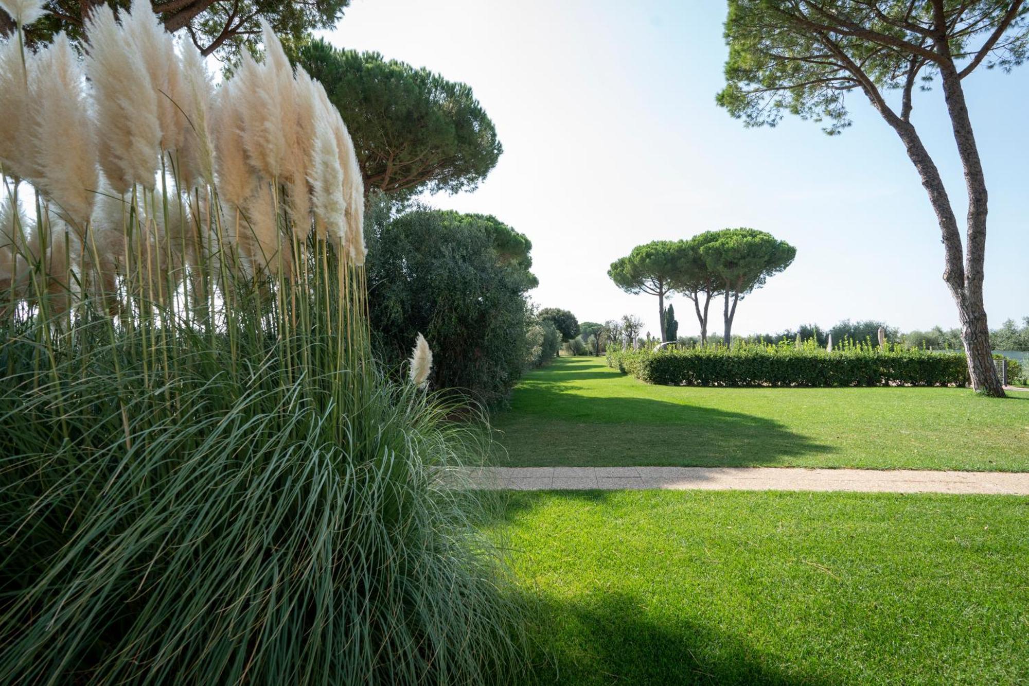Agriturismo Nonno Gino - Charme&Relax Piombino Ngoại thất bức ảnh